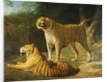 A Tiger and Tigress at the Exeter 'Change Menagerie in 1808, 1808 by Jacques-Laurent Agasse