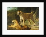 A Tiger and Tigress at the Exeter 'Change Menagerie in 1808, 1808 by Jacques-Laurent Agasse