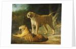 A Tiger and Tigress at the Exeter 'Change Menagerie in 1808, 1808 by Jacques-Laurent Agasse