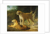 A Tiger and Tigress at the Exeter 'Change Menagerie in 1808, 1808 by Jacques-Laurent Agasse