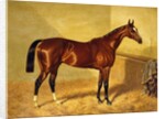 Orlando, a Bay Racehorse in a Loosebox, 1845 by John Frederick Herring Snr