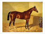Orlando, a Bay Racehorse in a Loosebox, 1845 by John Frederick Herring Snr