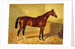 Orlando, a Bay Racehorse in a Loosebox, 1845 by John Frederick Herring Snr