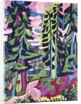 Wild Mountain; Wildboden, 1927-1928 by Ernst Ludwig Kirchner