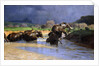 Elephants Bathing; Badende Elefanten, 1908 by Wilhelm Kuhnert
