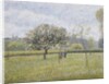 Apple Tree in Flower at Eragny by Camille Pissarro