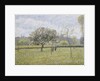 Apple Tree in Flower at Eragny by Camille Pissarro