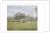 Apple Tree in Flower at Eragny by Camille Pissarro