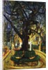 The Tree in Vence by Chaim Soutine