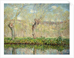Spring, the Border of l'Epte; Printemps, Bord de l'Epte, 1885 by Claude Monet