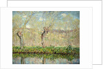 Spring, the Border of l'Epte; Printemps, Bord de l'Epte, 1885 by Claude Monet