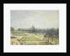 The Tuileries Ponds, Mist; Le Bassin des Tuileries, Brume, 1900 by Camille Pissarro