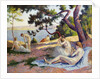 Bathers at Saint Tropez; Baigneuses a Saint-Tropez, 1892 by Maximilien Luce