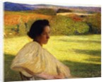 Meditation, 1896 by Henri Jean Guillaume Martin