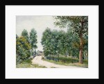 The Saint-Mammes Path, Morning; Le Chemin de Saint-Mammes, le Matin, 1890 by Alfred Sisley