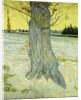 The Old Tree; Le Vieil If, 1888 by Vincent van Gogh