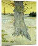 The Old Tree; Le Vieil If, 1888 by Vincent van Gogh
