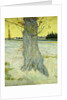 The Old Tree; Le Vieil If, 1888 by Vincent van Gogh