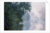 Morning on the Seine, Effect of Mist, 1897 by Claude Monet
