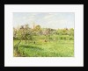 Morning, Spring, Grey Weather, Eragny; Matin, Printemps, Temps Gris, Eragny, 1900 by Camille Pissarro