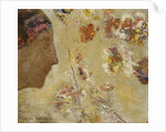 Woman in Profile with Butterfly and Flowers; Femme de Profil avec Papillon et Fleurs, by Odilon Redon