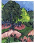 Landscape with Chestnut Tree; Landschaft mit Kastanienbaum, 1913 by Ernst Ludwig Kirchner