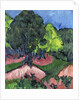 Landscape with Chestnut Tree; Landschaft mit Kastanienbaum, 1913 by Ernst Ludwig Kirchner