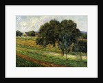 Trees and Flowers, Damiette Countryside; Arbres et Fleurs, Paysage a Damiette, c.1885 by Jean Baptiste Armand Guillaumin