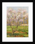 Apple Tree in Blossom; Pommiers en Fleurs by Henri Jean Guillaume Martin