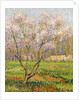 Apple Tree in Blossom; Pommiers en Fleurs by Henri Jean Guillaume Martin