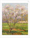 Apple Tree in Blossom; Pommiers en Fleurs by Henri Jean Guillaume Martin