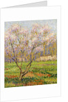 Apple Tree in Blossom; Pommiers en Fleurs by Henri Jean Guillaume Martin