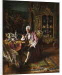 The Art Collector, by Johann Hamza