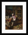The Art Collector, by Johann Hamza
