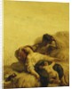 The Sleeping Reapers by Jean-Francois Millet