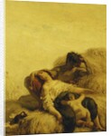 The Sleeping Reapers by Jean-Francois Millet