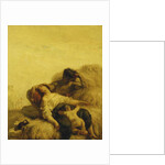 The Sleeping Reapers by Jean-Francois Millet