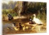Ducks at the Water's Edge, 1874 by Carl Jutz