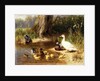 Ducks at the Water's Edge, 1874 by Carl Jutz