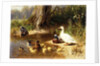 Ducks at the Water's Edge, 1874 by Carl Jutz