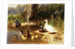 Ducks at the Water's Edge, 1874 by Carl Jutz