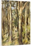 Picnic in the Woods, 1920 by Max Liebermann