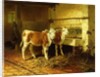 Two Calves in a Barn by Walter Hunt