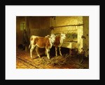 Two Calves in a Barn by Walter Hunt