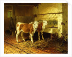 Two Calves in a Barn by Walter Hunt