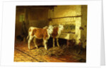 Two Calves in a Barn by Walter Hunt