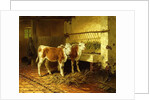Two Calves in a Barn by Walter Hunt