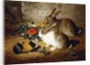 Escaped: Two Rabbits and Guinea Pig, 1880 by Alfred R. Barber