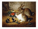 Escaped: Two Rabbits and Guinea Pig, 1880 by Alfred R. Barber
