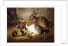 Escaped: Two Rabbits and Guinea Pig, 1880 by Alfred R. Barber